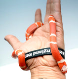 Load image into Gallery viewer, Fancy Honduran Milk Snake