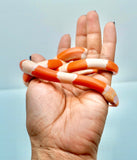Load image into Gallery viewer, Fancy Honduran Milk Snake