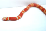 Load image into Gallery viewer, Fancy Honduran Milk Snake