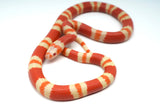 Load image into Gallery viewer, Fancy Honduran Milk Snake