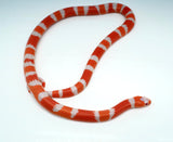 Load image into Gallery viewer, Fancy Honduran Milk Snake