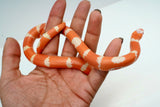 Load image into Gallery viewer, Fancy Honduran Milk Snake