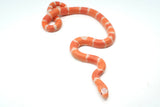 Load image into Gallery viewer, Albino Poss Hypo Honduran Milk Snake
