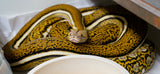 Load image into Gallery viewer, Tiger Anthrax Reticulated Python