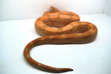Load image into Gallery viewer, Male Burke T+ Hypo Fire Boa
