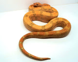 Load image into Gallery viewer, Male Burke T+ Hypo Fire Boa