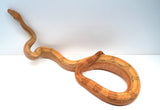 Load image into Gallery viewer, Female Burke Hypo Genetic Stripe Fire (Het Leucy) Central American Boa