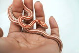Load image into Gallery viewer, Female Ultramel Tessera Het Hypo Caramel Corn Snake