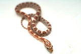 Load image into Gallery viewer, Male Ghost H Snow Sun Lava Car Corn Snake