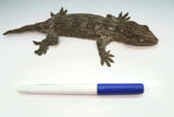 Load image into Gallery viewer, Pine Island x Moro Leachianus Gecko