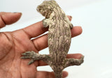 Load image into Gallery viewer, Pine Island x Moro Leachianus Gecko