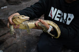 Load image into Gallery viewer, Male Hypo Celebensis Asian Water Monitor