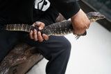 Load image into Gallery viewer, Male Asian Water Monitor