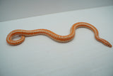 Load image into Gallery viewer, Albino Limburg Rosy Boa