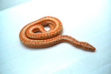Load image into Gallery viewer, Albino Limburg Rosy Boa