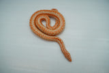 Load image into Gallery viewer, Albino Limburg Rosy Boa