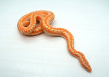 Load image into Gallery viewer, Albino Limburg Rosy Boa