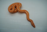 Load image into Gallery viewer, Albino Limburg Rosy Boa