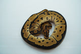 Load image into Gallery viewer, Female Clown Het Pied Ball Python