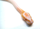 Load image into Gallery viewer, Male Albino Pied Ball Python