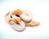 Load image into Gallery viewer, Male Albino Pied Ball Python