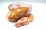 Load image into Gallery viewer, Female Albino Pied Ball Python