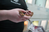 Load image into Gallery viewer, Female Kingsville Bull Snake