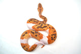 Load image into Gallery viewer, Female Caramel Clown Pied Ball Python