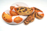 Load image into Gallery viewer, Male Caramel Clown Pied Ball Python