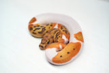 Load image into Gallery viewer, Male Caramel Clown Pied Ball Python