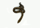 Load image into Gallery viewer, Male Hatchling American Hypo False Water Cobra