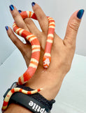 Load image into Gallery viewer, Albino Poss Hypo Honduran Milk Snake