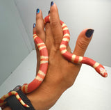 Load image into Gallery viewer, Albino Poss Hypo Honduran Milk Snake