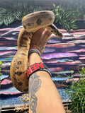 Load image into Gallery viewer, Female Insane Hypo Jungle Het Burke T+