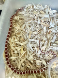 Load image into Gallery viewer, Male Ultra H Hypo Car Corn Snake