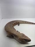 Load image into Gallery viewer, Female Red Sunset Proven Breeder Blue Tongue Skink