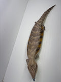 Load image into Gallery viewer, Female Red Sunset Proven Breeder Blue Tongue Skink