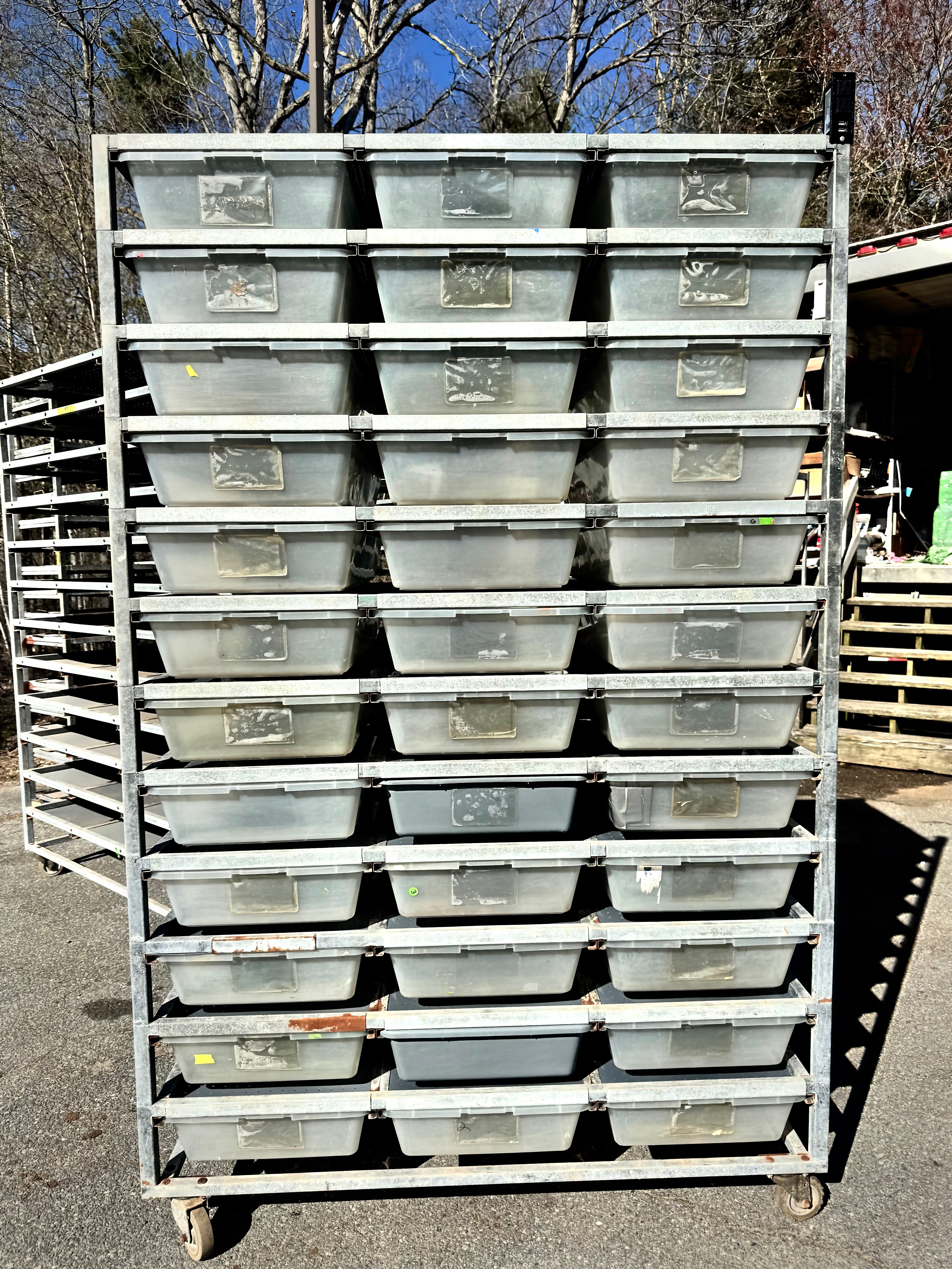 Snake Hatch Rack Snake Breeding Rack Collection – New England Reptile - NERD