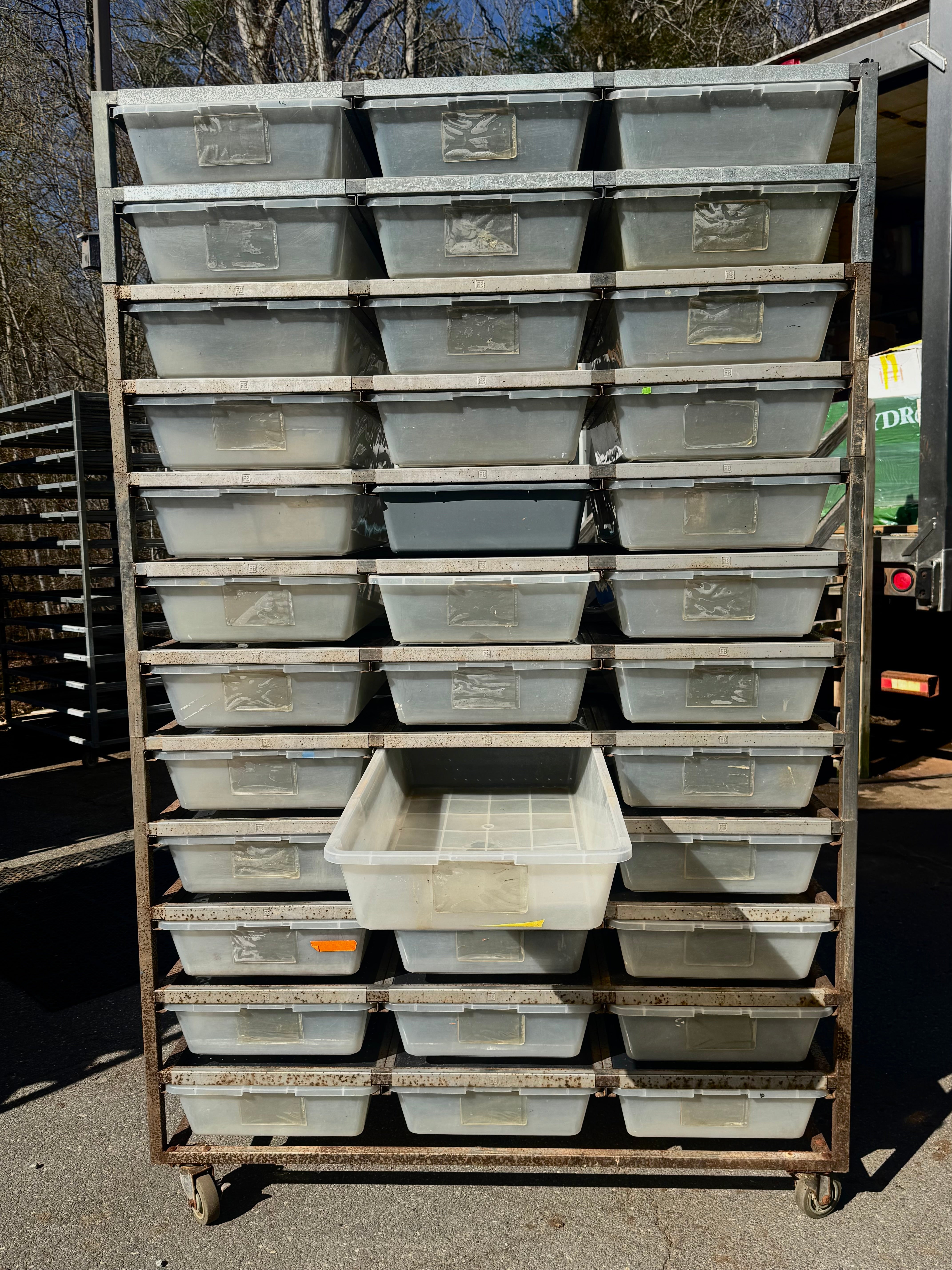 Snake Hatch Rack Snake Breeding Rack Collection – New England Reptile - NERD