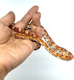 Load image into Gallery viewer, Het Palmetto Corn Snake