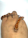 Load image into Gallery viewer, Het Palmetto Corn Snake