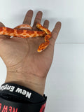 Load image into Gallery viewer, Albino Corn Snake