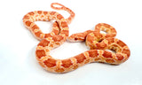 Load image into Gallery viewer, Het Palmetto Corn Snake