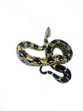 Load image into Gallery viewer, IMG Het Kahl Albino Het VPI Poss Het Anery Boa Constrictor