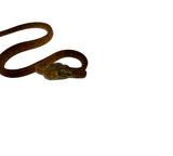 Load image into Gallery viewer, Orange Amazon Tree Boa