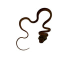 Load image into Gallery viewer, Orange Amazon Tree Boa