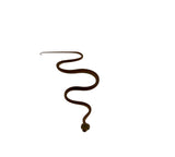 Load image into Gallery viewer, Orange Amazon Tree Boa