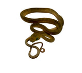 Load image into Gallery viewer, Yellow Reduced Pattern Amazon Tree Boa