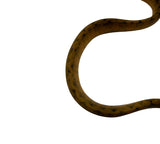 Load image into Gallery viewer, Yellow Reduced Pattern Amazon Tree Boa