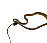 Load image into Gallery viewer, Yellow Amazon Tree Boa